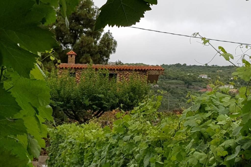 La Tagora Conect With The Nature & Relax إيكود ذي لوس فينوس المظهر الخارجي الصورة