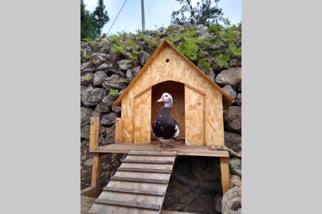 La Tagora Conect With The Nature & Relax إيكود ذي لوس فينوس المظهر الخارجي الصورة