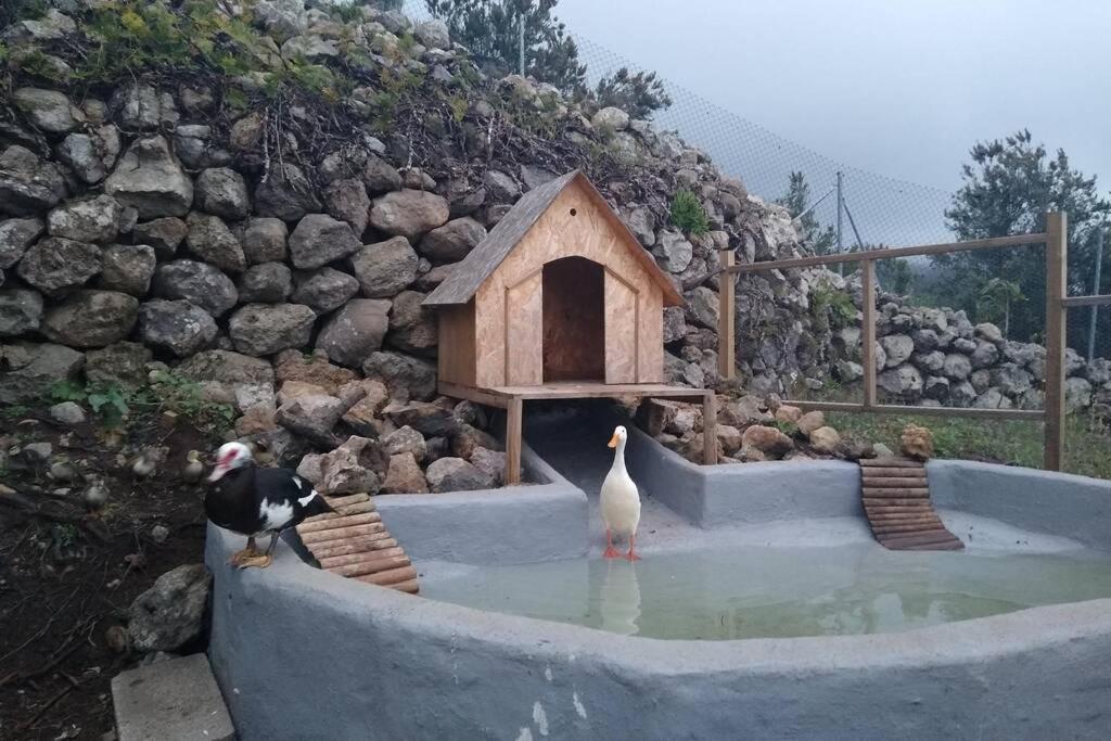 La Tagora Conect With The Nature & Relax إيكود ذي لوس فينوس المظهر الخارجي الصورة