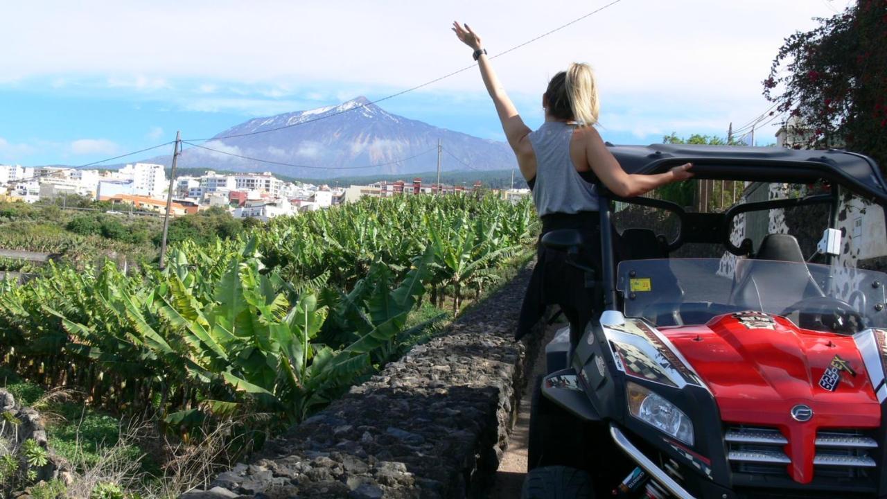 La Tagora Conect With The Nature & Relax إيكود ذي لوس فينوس المظهر الخارجي الصورة